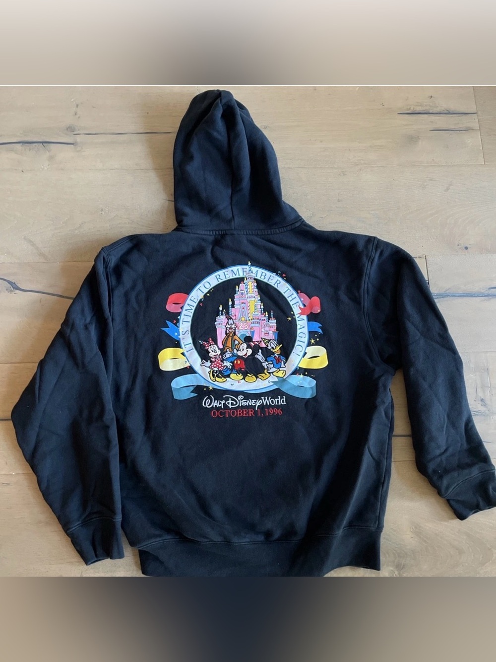 WDW 25th Anniversary Vault character cake castle hoodie Disney World Sz XS